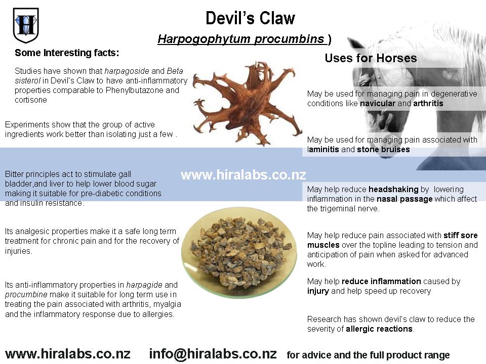 H-Devil's Claw horses @ Hira Laboratories