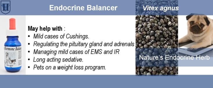 A slider shows an image of a dog, vitex agnus berries and a bottle of vitex agnus extract