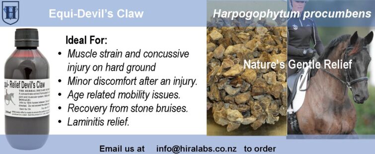Devil's Claw is a natural supplement for joint stiffness