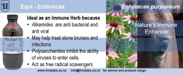 Natural herbal immune booster