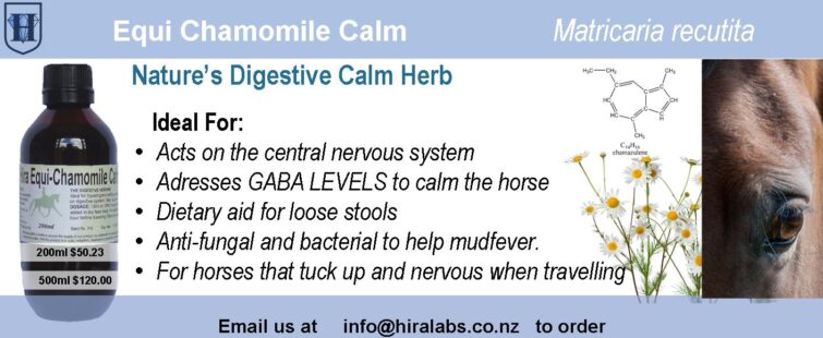 Chamomile extract for digestive health and relaxation