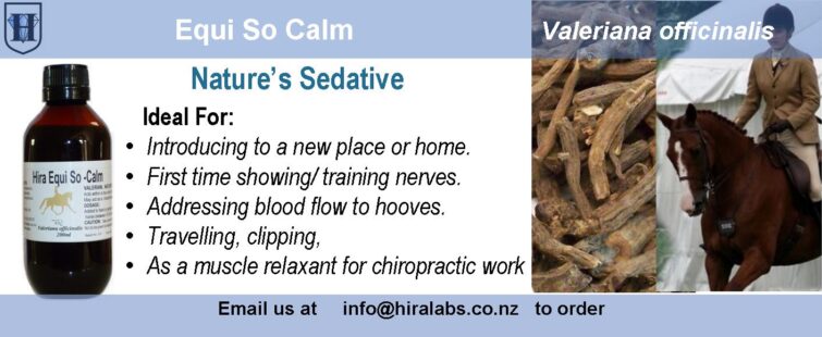 Description of valerian tincture with a picture of 200ml valerian liquid