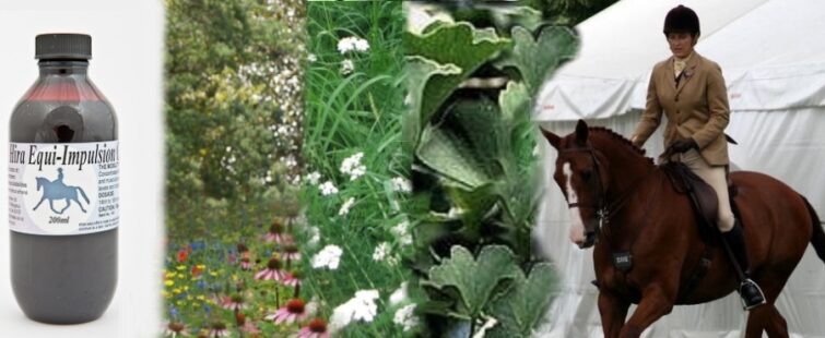 A slider which explains the use of blend for joint support